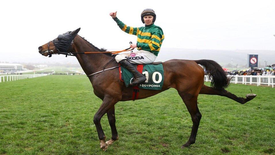 Sire Du Berlais won the Stayers Hurdle on day three at Cheltenham